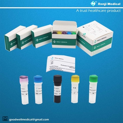 Monkeypox Virus(MPV) 핵산 검출 키트 Fast Test Home Kit Real Time PCR Kit