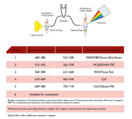 MSDS 핵산 추출 기계, MA6000 실시간 양적 PCR 기계