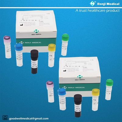 Monkeypox Virus(MPV) 핵산 검출 키트 Fast Test Home Kit Real Time PCR Kit
